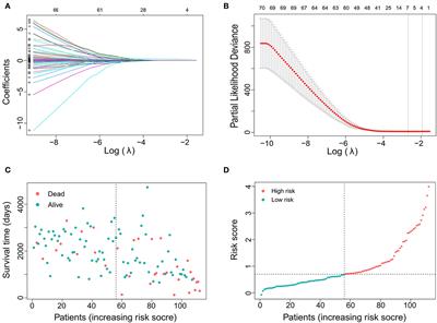 A prognostic estimation model based on mRNA-sequence data for patients with oligodendroglioma